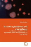 The actin cytoskeleton and macrophages