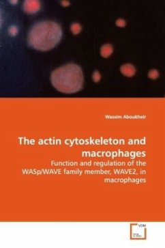 The actin cytoskeleton and macrophages - Aboukheir, Wassim