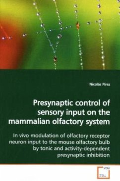 Presynaptic control of sensory input on the mammalian olfactory system - Pírez, Nicolás