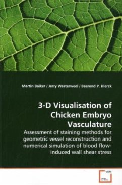 3-D Visualisation of Chicken Embryo Vasculature - Baiker, Martin