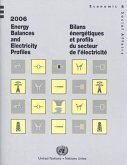 Energy Balances and Electricity Profiles 2006