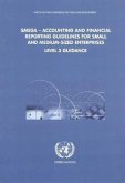 Accounting and Financial Reporting Guidelines for Small and Medium- Sized Enterprises: Level 3 Guidance