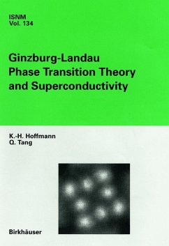 Ginzburg-Landau Phase Transition Theory and Superconductivity - Hoffmann, K.-H.;Tang, Q.