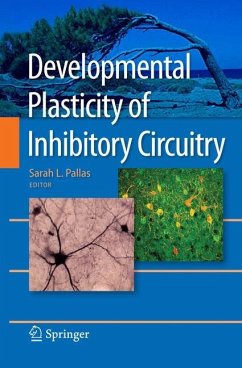 Developmental Plasticity of Inhibitory Circuitry - Pallas, Sarah L. (Hrsg.)