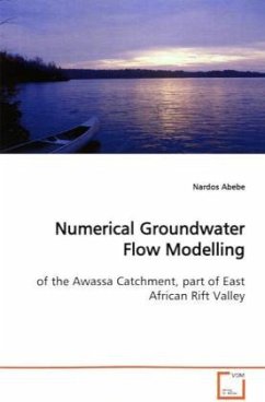 Numerical Groundwater Flow Modelling - Abebe, Nardos