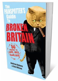 The Painspotter's Guide to Broken Britain - Holmes, Andrew