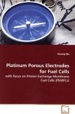 Platinum Porous Electrodes for Fuel Cells