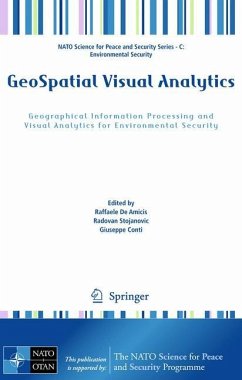 GeoSpatial Visual Analytics