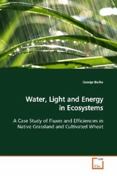 Water, Light and Energy in Ecosystems - Burba, George