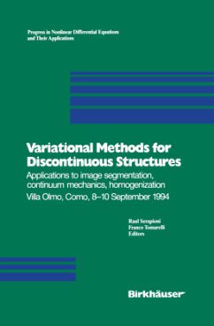 Variational Methods for Discontinuous Structures - Serapioni