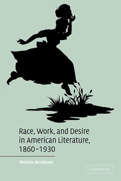 Race, Work, and Desire in American Literature 1860-1930 - Birnbaum, Michele