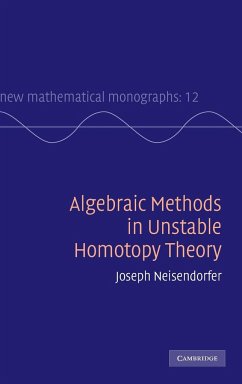 Algebraic Methods in Unstable Homotopy Theory - Neisendorfer, Joseph