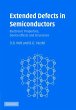 Extended Defects in Semiconductors - Bild 1