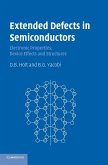 Extended Defects in Semiconductors