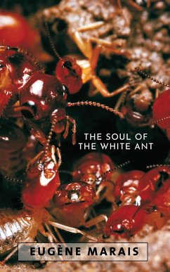 The Soul of the White Ant - Marais, Eugene N