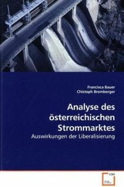 Analyse des österreichischen Strommarktes - Bauer, Francisca;Bremberger, Christoph