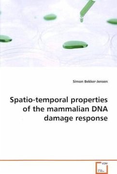 Spatio-temporal properties of the mammalian DNA damage response - Bekker-Jensen, Simon