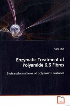 Enzymatic Treatment of Polyamide 6.6 Fibres - Silva, Carla