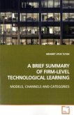 A BRIEF SUMMARY OF FIRM-LEVEL TECHNOLOGICAL LEARNING