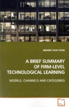 A BRIEF SUMMARY OF FIRM-LEVEL TECHNOLOGICAL LEARNING - Tutan, Mehmet U.