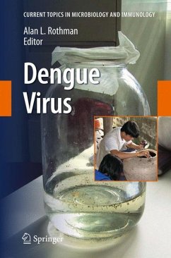 Dengue Virus - Rothman, Alan L. (Hrsg.)