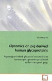 Glycomics on pig derived human glycoproteins