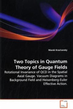 Two Topics in Quantum Theory of Gauge Fields - Kras anský, Marek