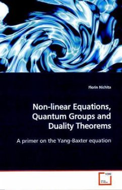 Non-linear Equations, Quantum Groups and Duality Theorems - Nichita, Florin