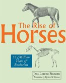 The Rise of Horses