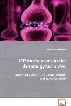 LTP mechanisms in the dentate gyrus in vivo - Kanhema, Tambudzai