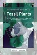 Identification Guide to the Fossil... - Bild 1