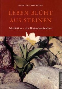 Cover Leben blüht aus Steinen