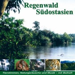 Regenwald Südostasien,Borneo,Malaysia - Tierstimmen,Naturgeräusche Und Musik