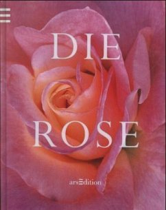 Die Rose - Hesse, Elke