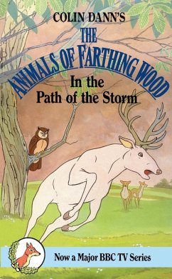 In The Path Of The Storm - Dann, Colin