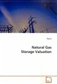 Natural Gas Storage Valuation