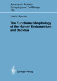 The Functional Morphology of the Human Endometrium and Decidua