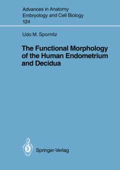 The Functional Morphology of the Human Endometrium and Decidua - Spornitz, Udo M.