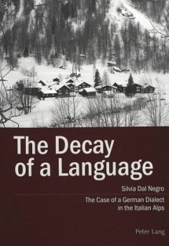 The Decay of a Language - Dal Negro, Silvia