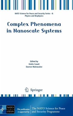 Complex Phenomena in Nanoscale Systems - Casati, Giulio / Matrasulov, Davron (ed.)