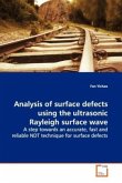 Analysis of surface defects using the ultrasonic Rayleigh surface wave