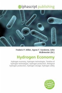 Hydrogen Economy