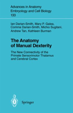 The Anatomy of Manual Dexterity - Darian-Smith, Ian; Galea, Mary P.; Burman, Kathleen; Sugitani, Michio; Tan, Andrew; Darian-Smith, Corinna