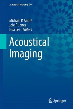 Acoustical Imaging - André, Michael P. / Jones, Joie P. / Lee, Hua (Hrsg.)