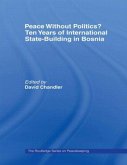 Peace without Politics? Ten Years of State-Building in Bosnia