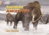 Animal Ancestors - Bild 1