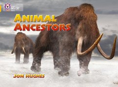 Animal Ancestors - Hughes, Jon