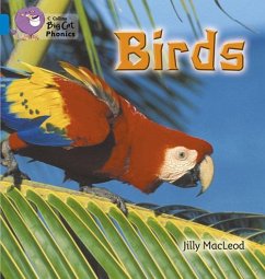 Cover Birds