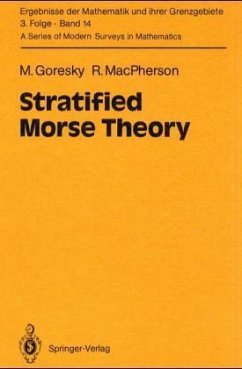 Stratified Morse Theory