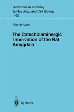 The Catecholaminergic Innervation of the Rat Amygdala - Asan, Esther